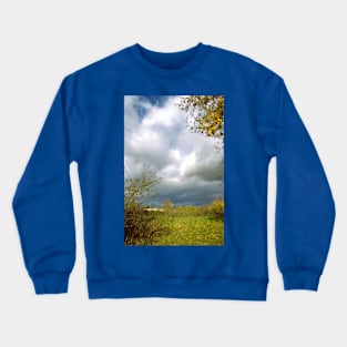 landscape1 Crewneck Sweatshirt